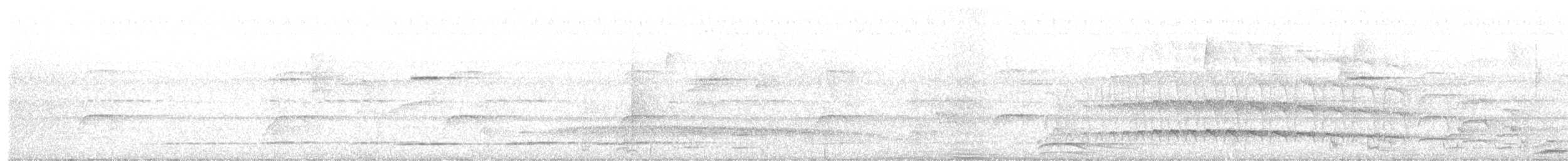 Collared Forest-Falcon - ML633353204