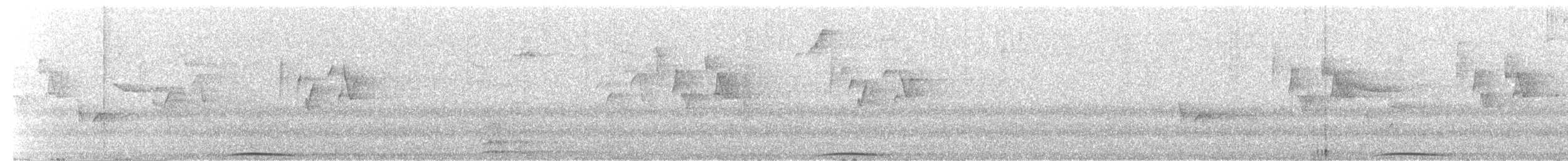 Phasianelle onchall - ML633354970