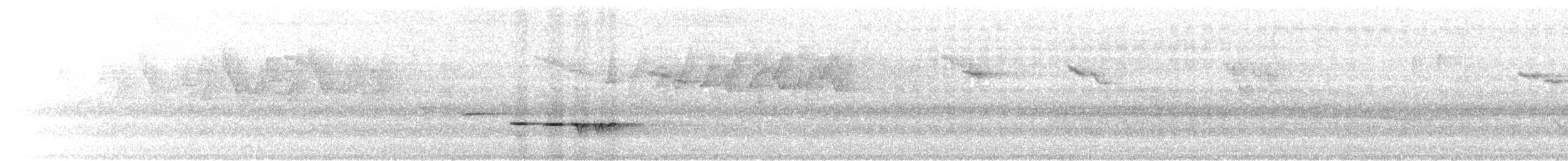 Gray-bellied Tesia - ML633355286