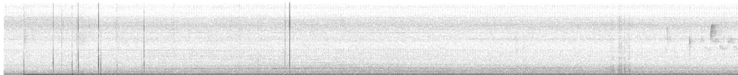 Yellow-rumped Warbler (Myrtle) - ML633357876