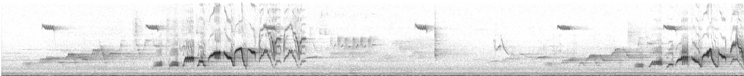 Swainson's Thrush - ML633358163