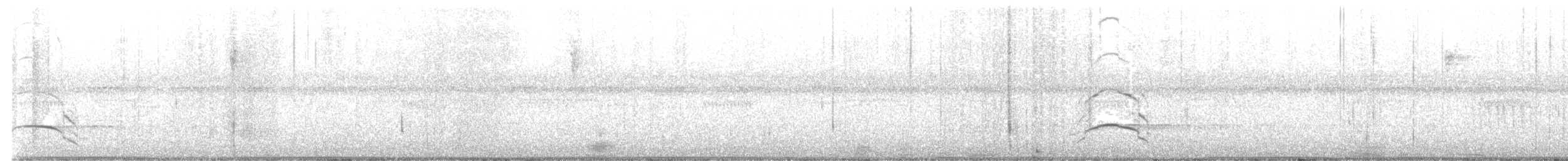 American Oystercatcher - ML633363306