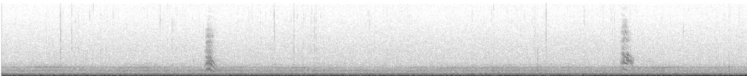Hibou des marais (flammeus) - ML633366767