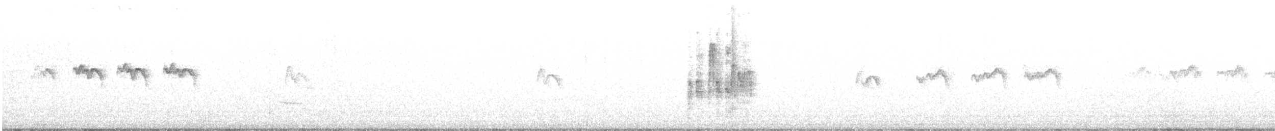 alkoun černohrdlý - ML633366945