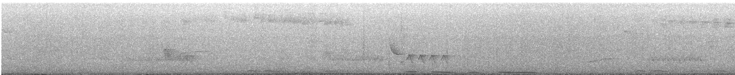 Caribbean Dove - ML633367273