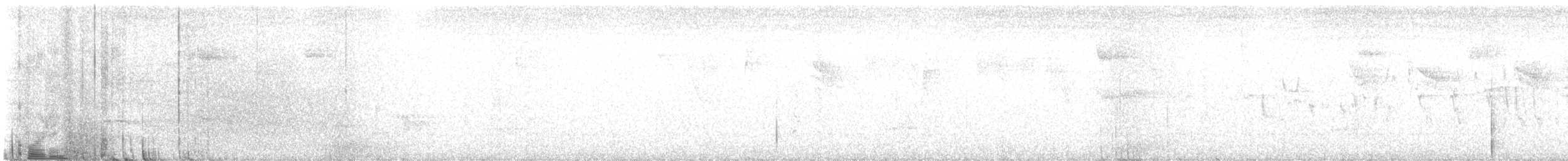 Brown-banded Antpitta - ML633367581