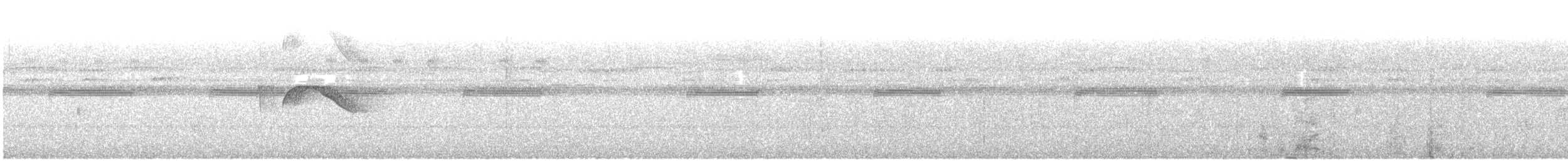 White-tailed Nightjar - ML633369802