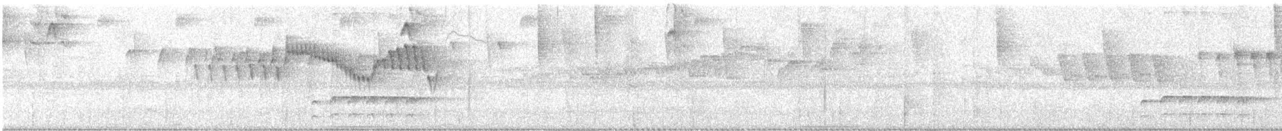 Nariño Tapaculo - ML633370930