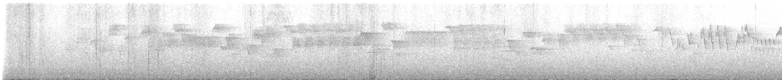 Pacific Wren - ML633378431