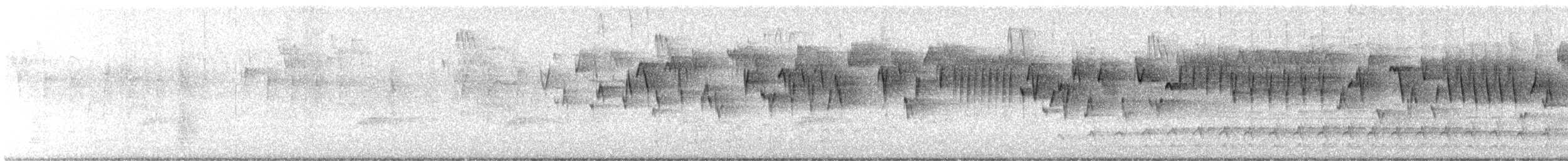 Pacific Wren - ML633380703