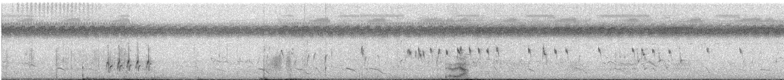 Pictorella Munia - ML633384537