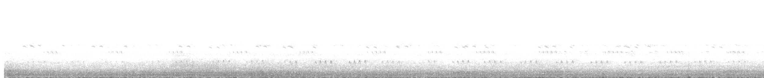 Australasian Grass-Owl - ML633384869