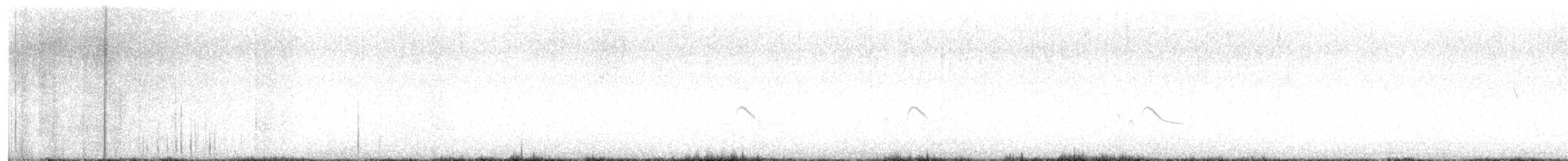 Say's Phoebe - ML633389821