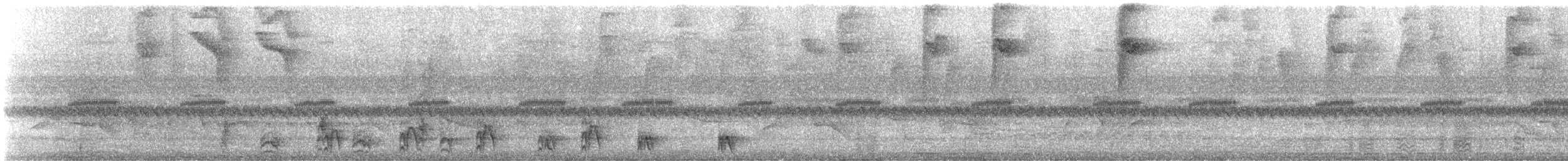 Jet Antbird - ML633390110