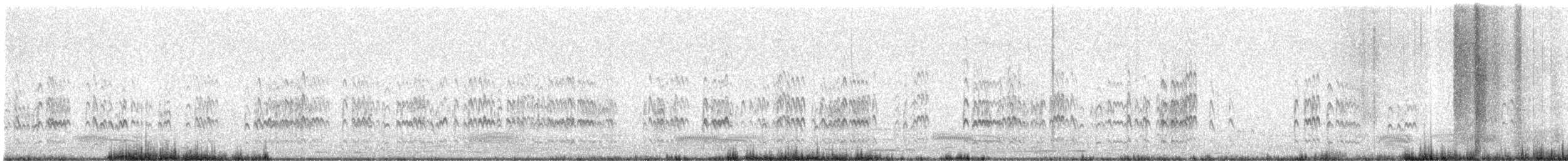 Oriental Pratincole - ML633391044