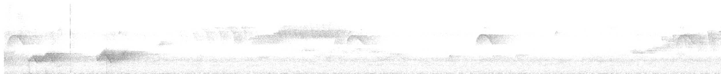 White-fronted Tyrannulet - ML633394464