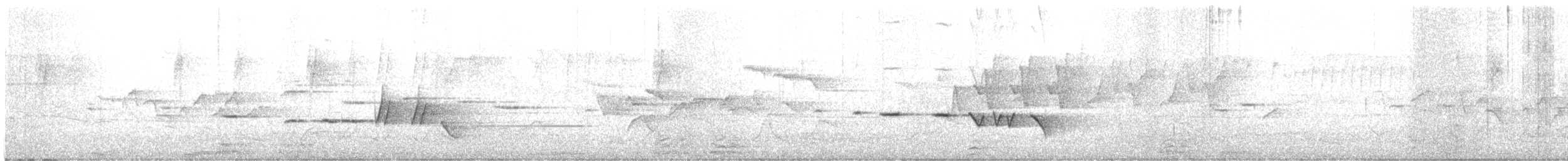 Gray-bellied Tesia - ML633394647