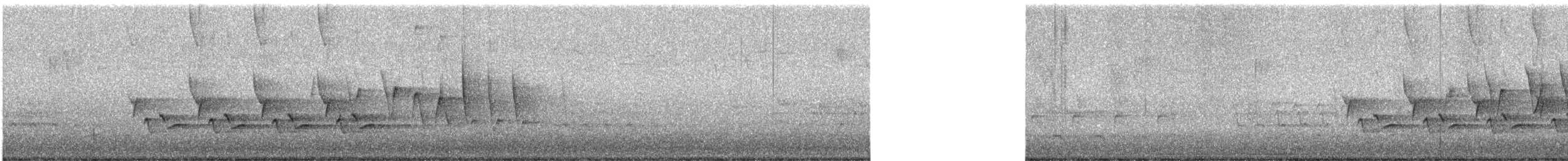 Northern Waterthrush - ML633396476