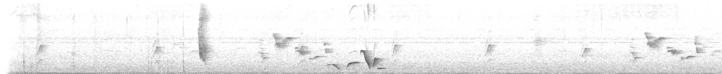 Whiskered Wren - ML633396906