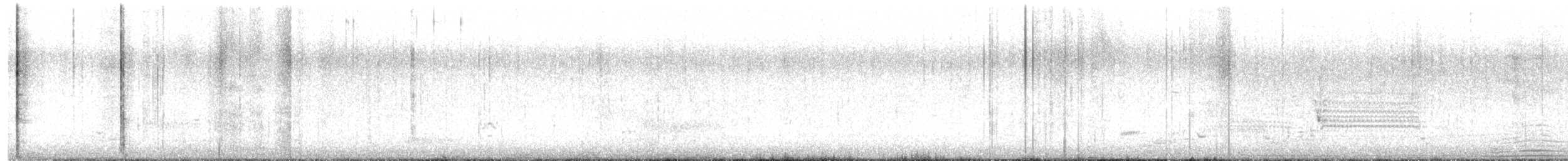 Canard d'Amérique - ML633399330