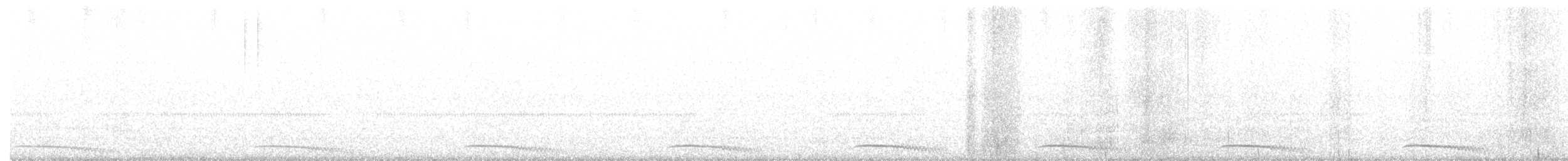 African Barred Owlet - ML633400327