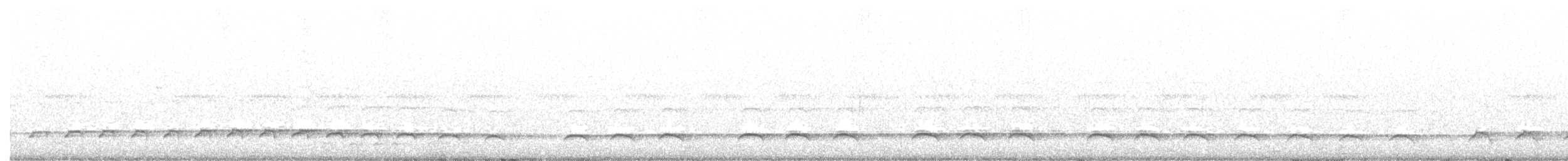 Spotted Thick-knee - ML633400715
