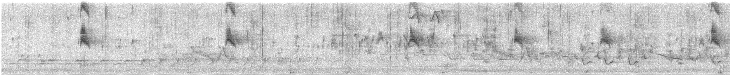 Tyran tritri - ML633402298