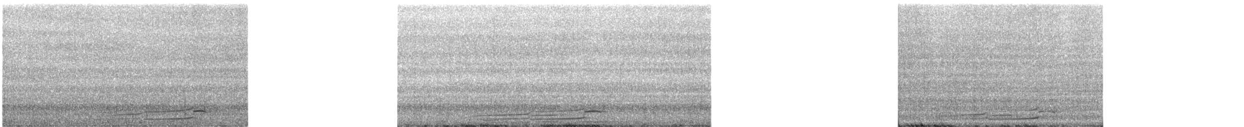Plongeon du Pacifique - ML633402512