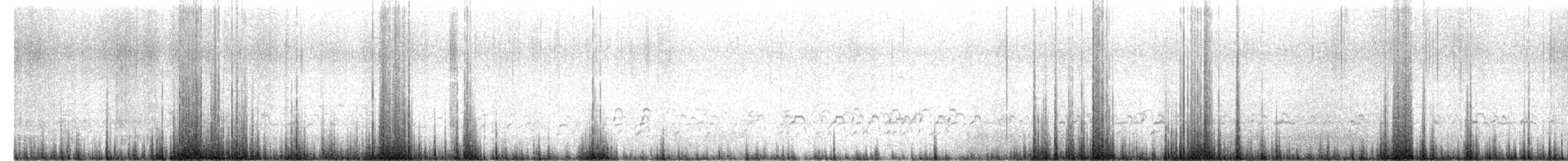 American Avocet - ML633403571