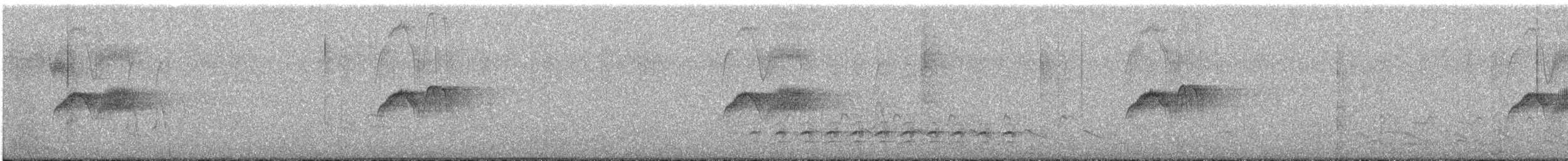 Eastern Phoebe - ML633403874