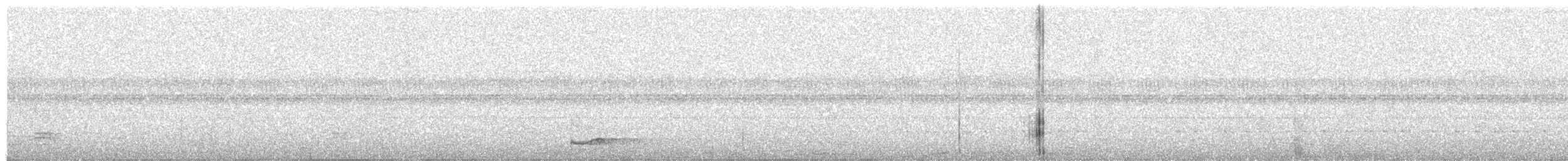 Short-tailed Nighthawk - ML633403901