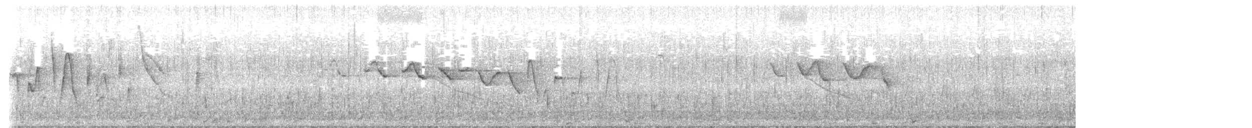 Louisiana Waterthrush - ML633404199