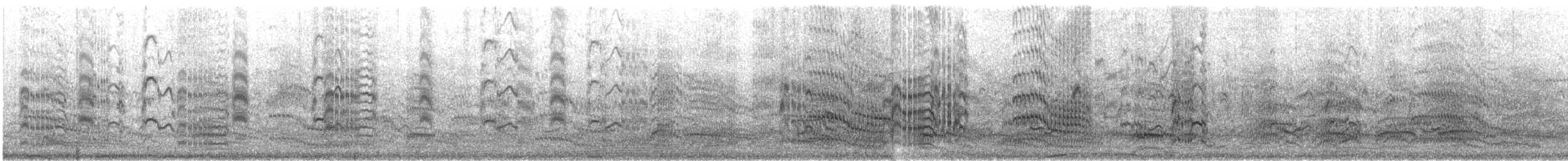 Beccapesci (sandvicensis) - ML633405522