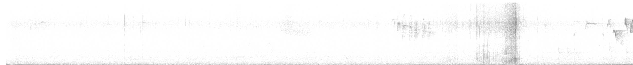 Pacific Wren - ML633405809