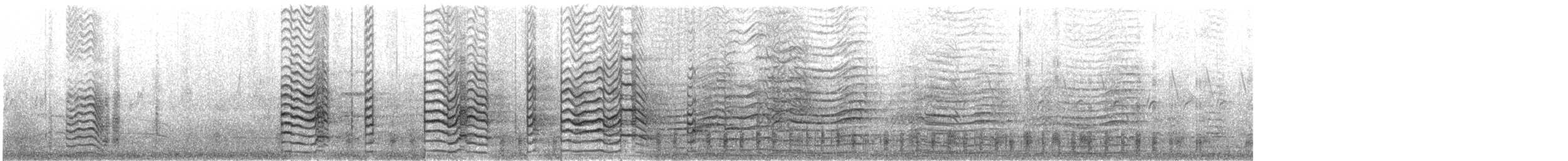 ריסה שחורת-רגל (צפון אטלנטית) - ML633406472