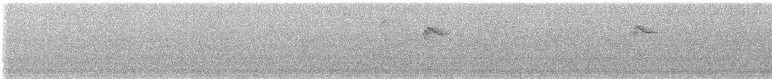 Sooty-faced Finch - ML633406955