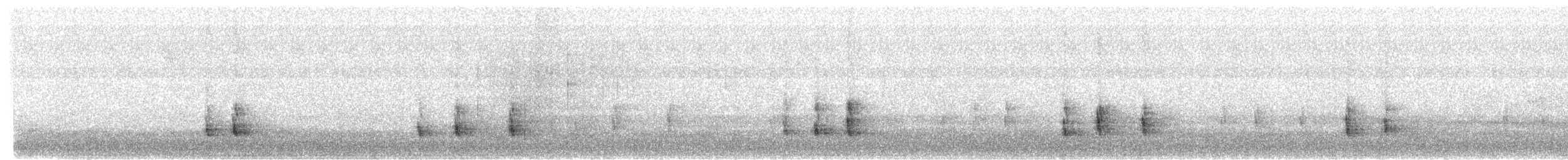 Hermit Thrush - ML633407255