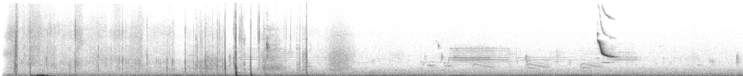 Бор нугас - ML633409279