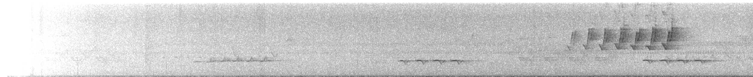 Prothonotary Warbler - ML633409312