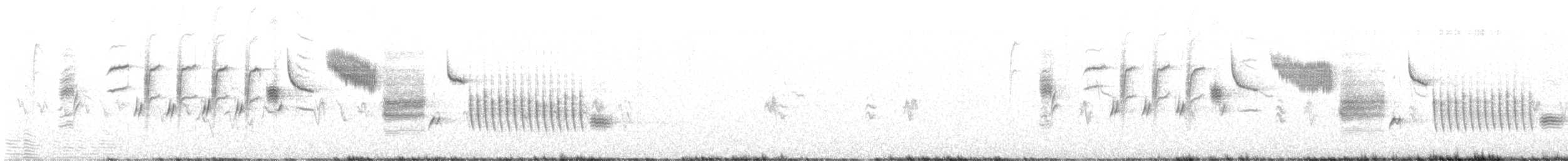 シロハラミソサザイ - ML633409646