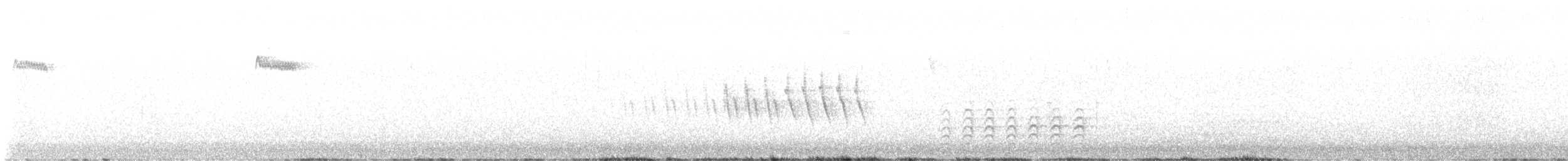 Grace's Warbler - ML633410366