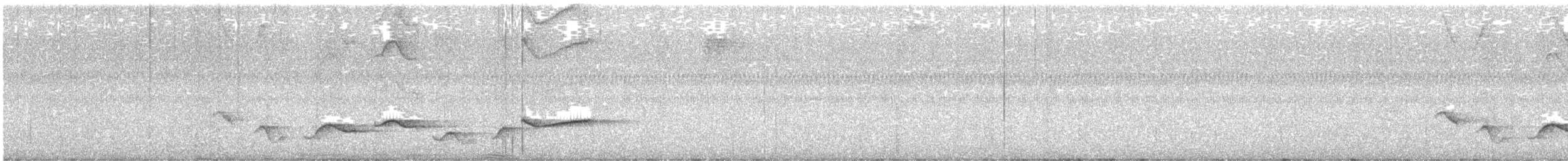 Nava's Wren - ML633419074