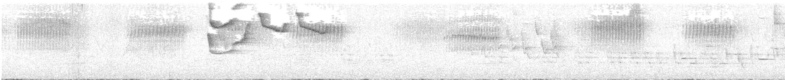 Perlkappen-Baumsteiger (affinis/lignicida) - ML633419393