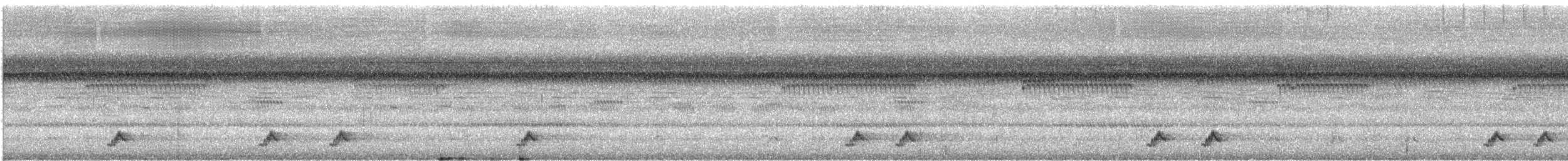 Puerto Rican Nightjar - ML633421184