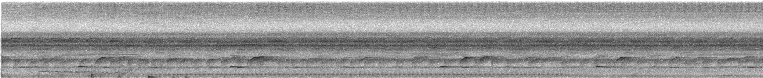 Puerto Rican Owl - ML633421427