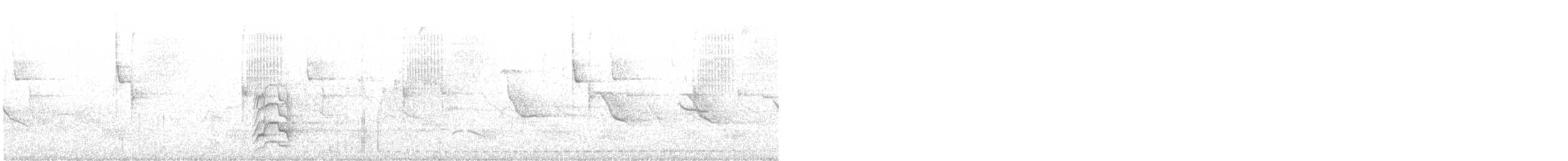 Undulated Antpitta - ML633422367