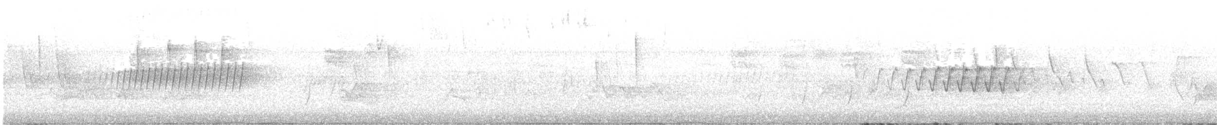 furuparula - ML633422732