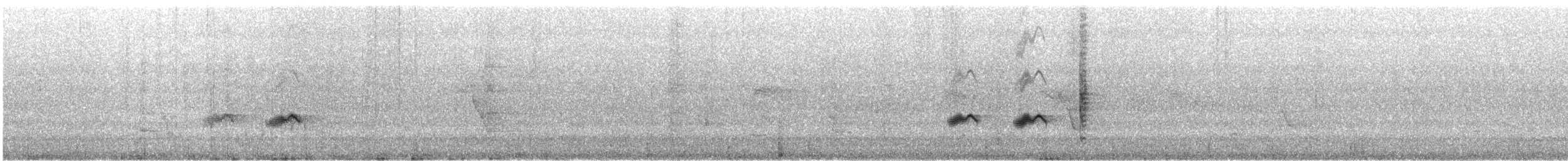 Puerto Rican Oriole - ML633423497