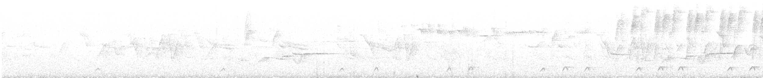 Mérulaxe noirâtre (latrans) - ML633424223