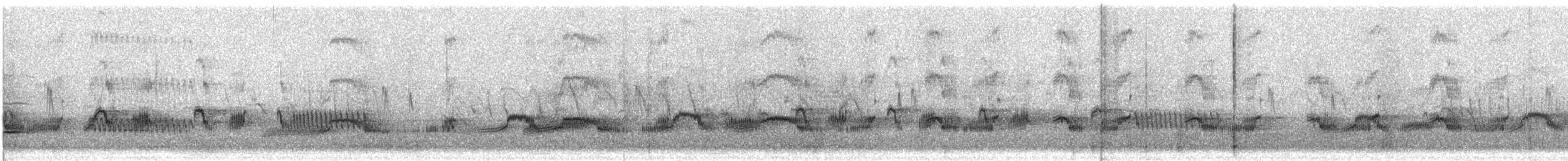 Plumbeous Rail - ML633425570